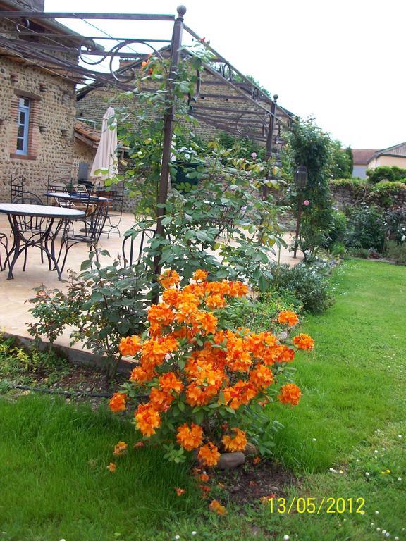 ลา แมซง ดาแน Bed & Breakfast Vic-en-Bigorre ภายนอก รูปภาพ